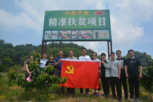 小小車厘子 帶動大市場——中國華融駐村幫扶著力鄉(xiāng)村振興示范點建設(shè)