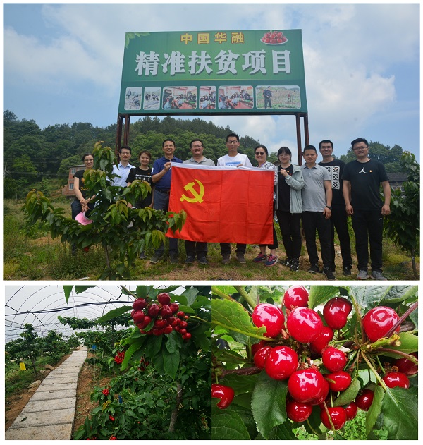 【鄉(xiāng)村振興】中國華融駐點幫扶村連續(xù)獲評達州市先進黨組織